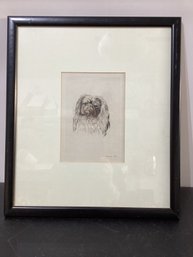 Portrait Of A Pekingese Dog Signed Illegibly