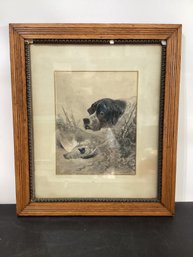 Vintage Print Titled 'Pointer And Partridge'