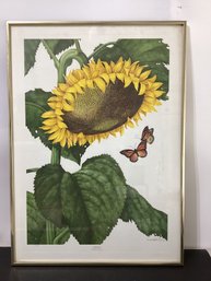 Sunflower Print Signed Manabu Saito.
