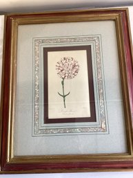 Print Of An Antique Botanical Print Titled 'Princesse Marie' From The Florist's Guide