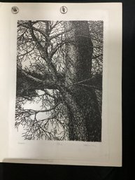 Woodcut Titled Hedgerow By Frank C Eckmair 164/200