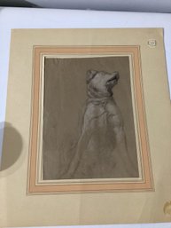 Dog Drawing Unsigned  With A 1990 Sotheby's Arcade Auctions Sticker