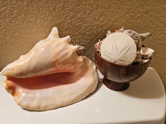 Large Conch Shell And A Wooden Bowl Full Of Other Shells From Travels Around The World