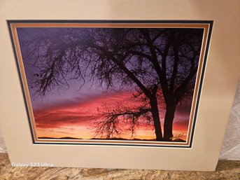 1980's Michael John Photograph Of Sunset