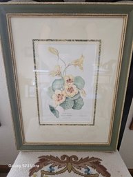 Vintage Eve Reshetnik  Botanical Print 'nasturtium Peach Melba'  Beautiful