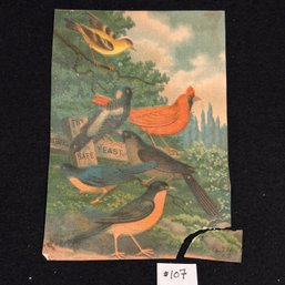 Warner's Safe Cure Victorian Advertising Trade Card