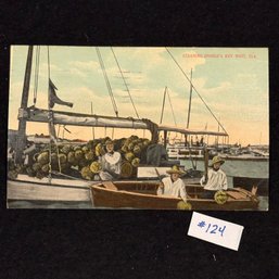 'CLEANING SPONGES' KEY WEST, Florida 1920 Antique Postcard