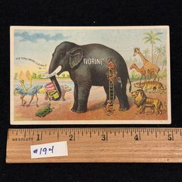Ivorine Elephant & Animals Antique Victorian Trade Card