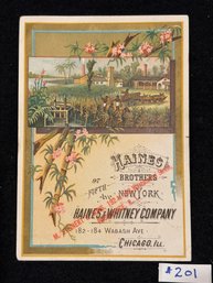 Haines Brothers Piano Advertising Antique Victorian Trade Card