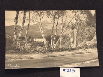 'Birches' 1949 Real Photo Postcard VINTAGE
