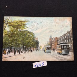 Madison Avenue, Mt. Morris Park (Harlem, NY) 1907 Antique Postcard