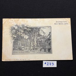 'NOBLE ELM AND THE GREEN' New Haven, CT Antique Postcard