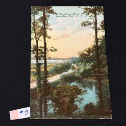 'The Shore Road' Near Sea Cliff, Long Island, New York Antique Postcard