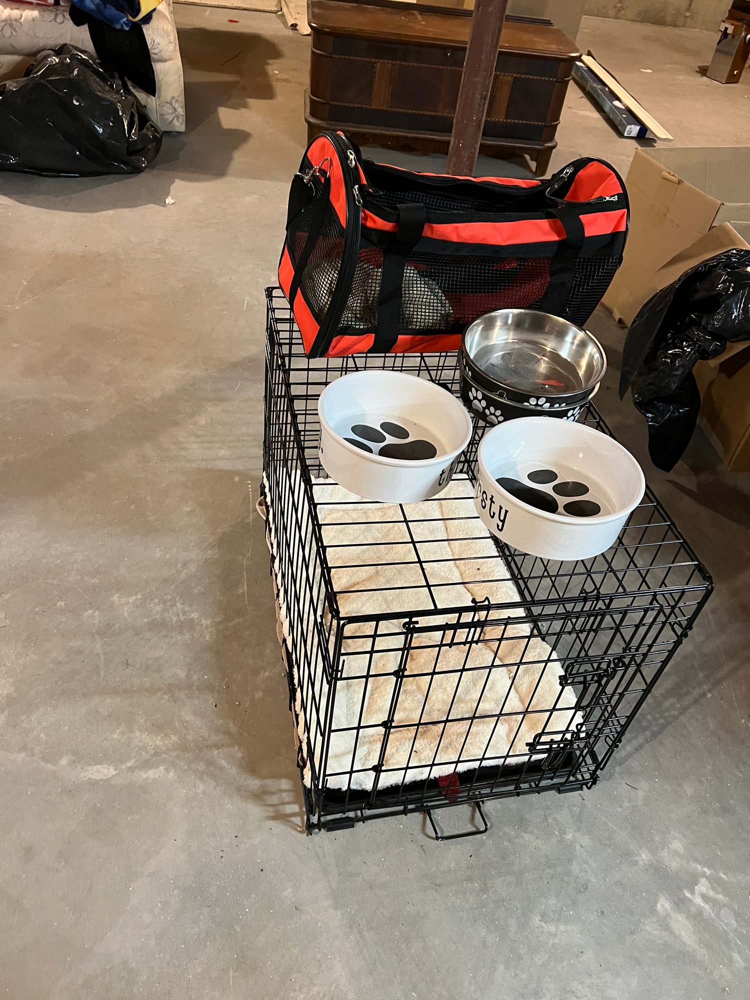 Dog Crate & Accessories Lot #1746 | Auctionninja.com