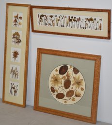 (3) FRAMED DRIED FLOWER ART PC'S