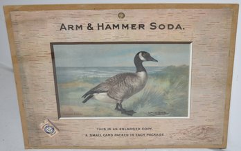 ARM & HAMMER ADVERTISING STORE DISPLAY