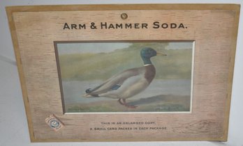 ARM & HAMMER ADVERTISING STORE DISPLAY