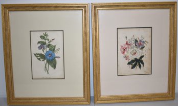 (2) EARLY HAND COLORED BOOKPLATES