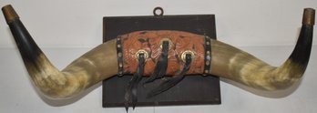 PR. MOUNTED STEER HORNS