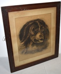VINTAGE CHARCOAL DOG DRAWING