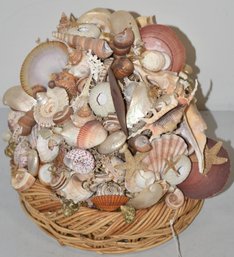 SEA SHELL CENTER PIECE DISPLAY