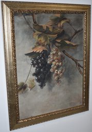 STILL LIFE GRAPES ON VINE