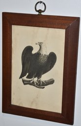FRAMED EAGLE ENGRAVING