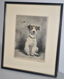 ENGRAVING OF PUPPY WATCHING A BEE