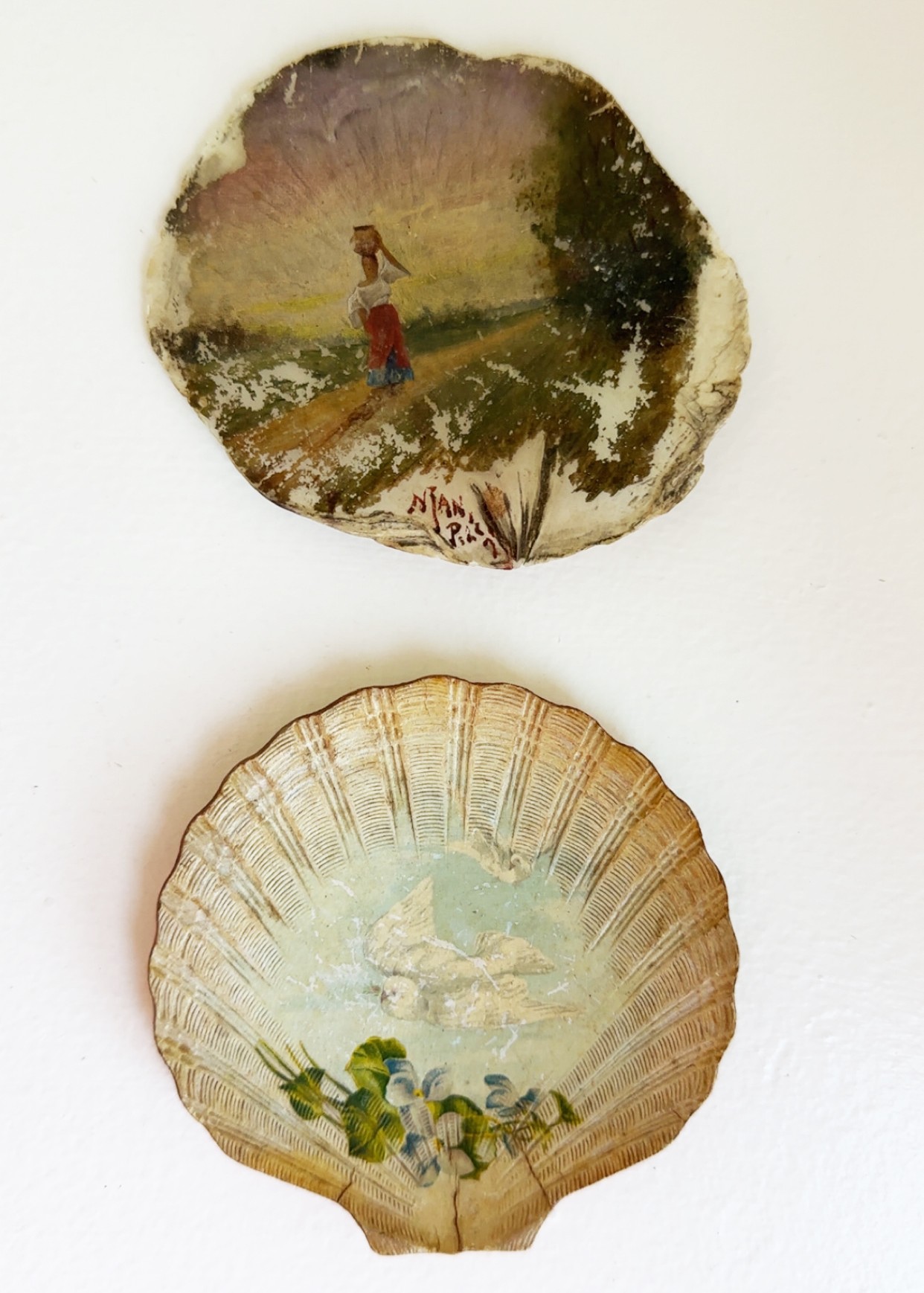 Hand Painted Shell & Paper Mache Shell #5218 | Auctionninja.com