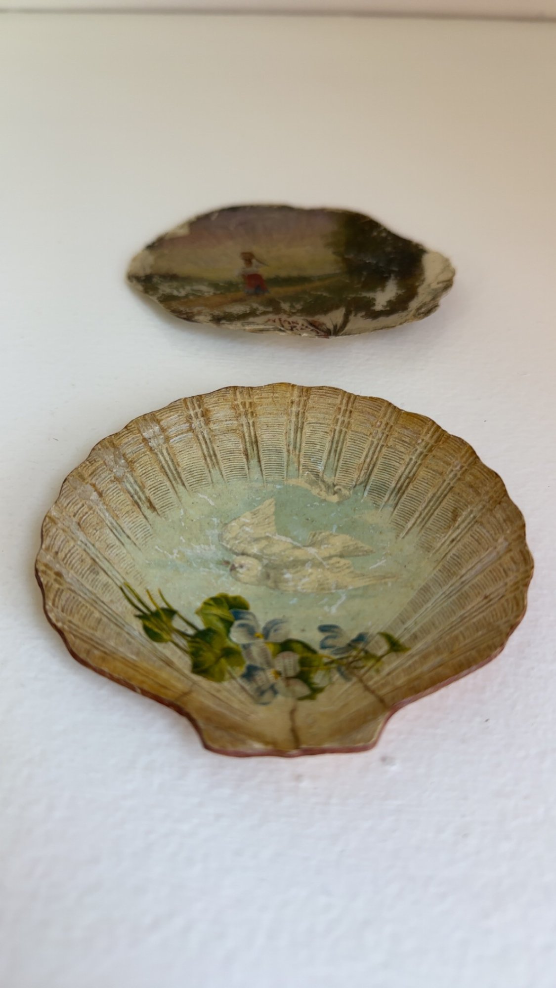 Hand Painted Shell & Paper Mache Shell #5218 | Auctionninja.com