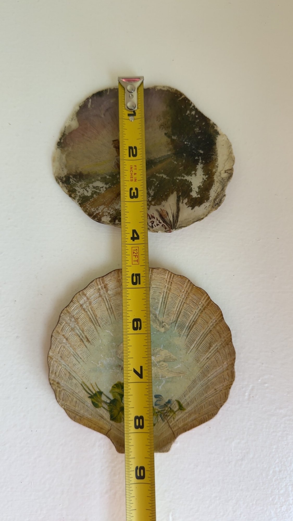 Hand Painted Shell & Paper Mache Shell #5218 | Auctionninja.com