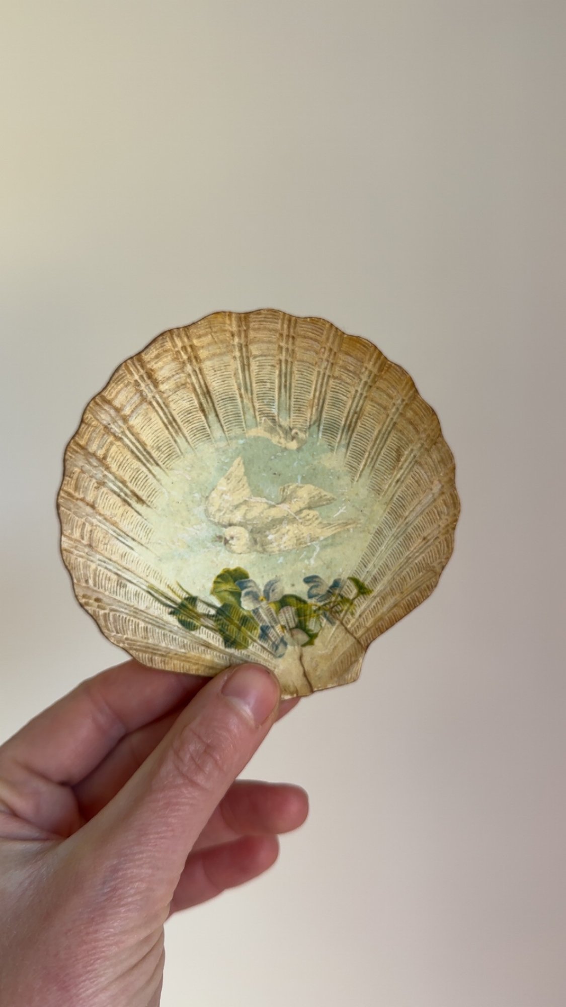 Hand Painted Shell & Paper Mache Shell #5218 | Auctionninja.com