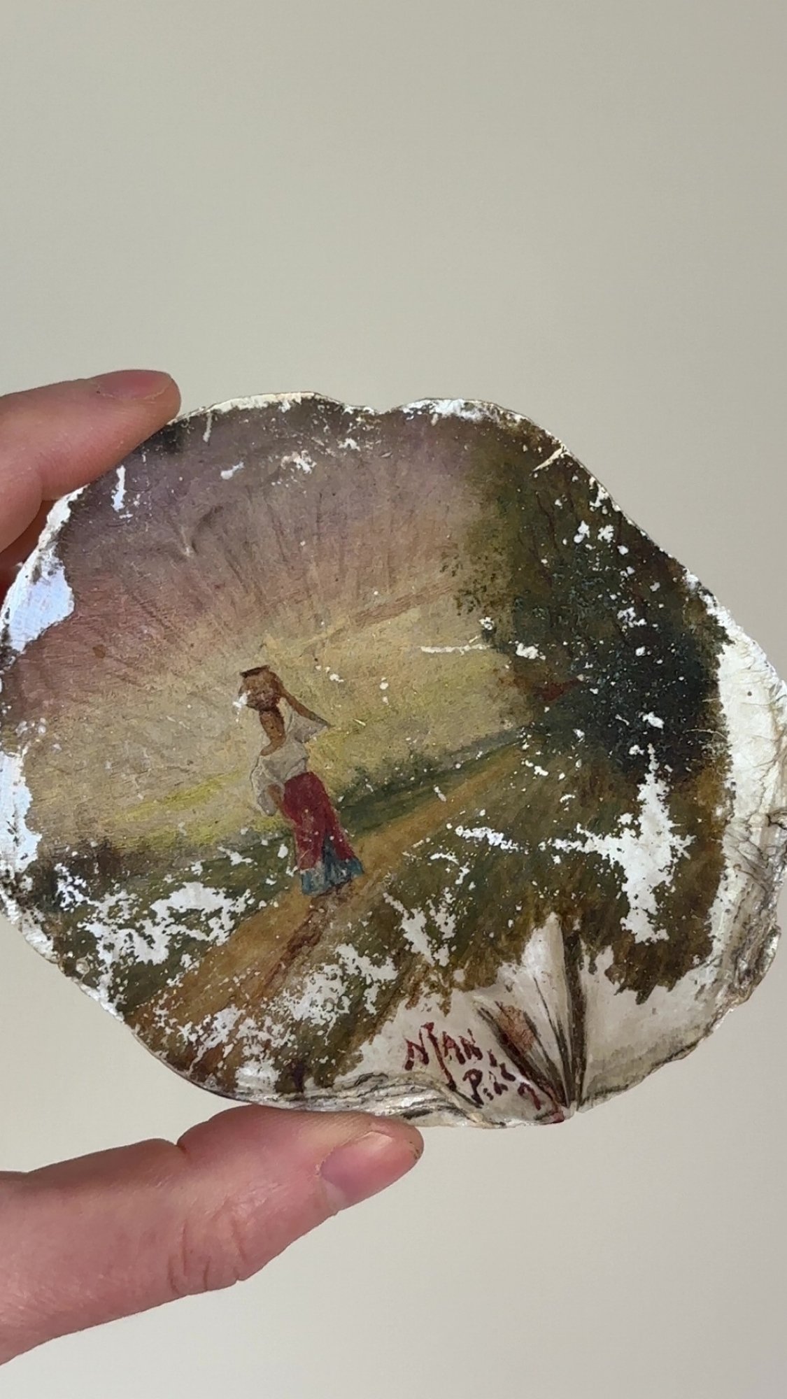 Hand Painted Shell & Paper Mache Shell #5218 | Auctionninja.com