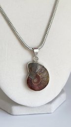 Beautiful Fossilized Ammonite Pendant In Silver Mount. Silver Toned Chain (20')