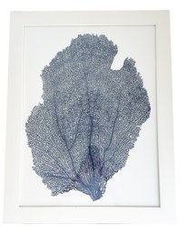 Contemporary Sea Fan Art Print In White Frame. Blue And White Coastal Decor. 21.50' Wide X 27.50' Tall