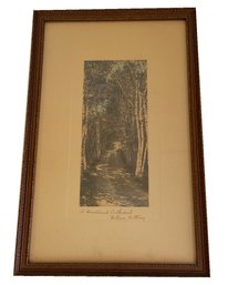 Hand-tinted Photograph Titled 'A Woodland Cathedral' Signed By Wallace Nutting. Landscape Art. Wall Art.