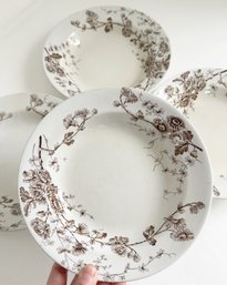 Set Of Four (4) Antique W.H. Grindley & Tunstall 'Spring' Pattern Brown Transferware Rimmed Soup Bowls.