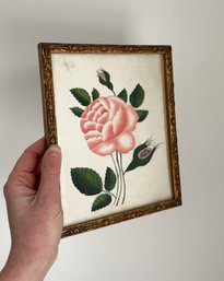 Antique Framed Pink Rose Print (litho) In A Gold Frame. 7' X 8.50'. Floral Wall Art. Botanical. Nature.