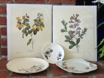 Mid-Century Porcelain Plates Warranted 22K Gold Royal Windsor Saucer Redoute Botanical Prints Lot