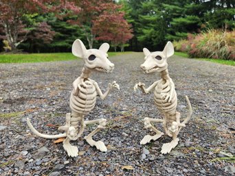 Halloween Skeleton Rat Decor Prop Pair Creepy Animal Bone Plastic Figures