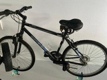 Black Raleigh Talus 2.0 Bike