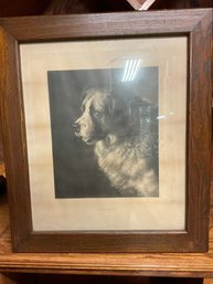 Antique Bayard The Dog Artwork