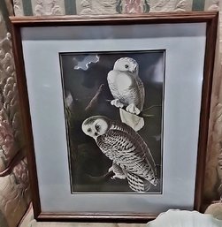 Framed Reproduction Print Of 'Snowy Owl' By John James Audubon