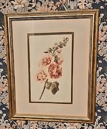 Framed Botanical Print Of Pink Hollyhocks (Alcea Rosea)