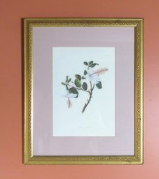 Botanical Print