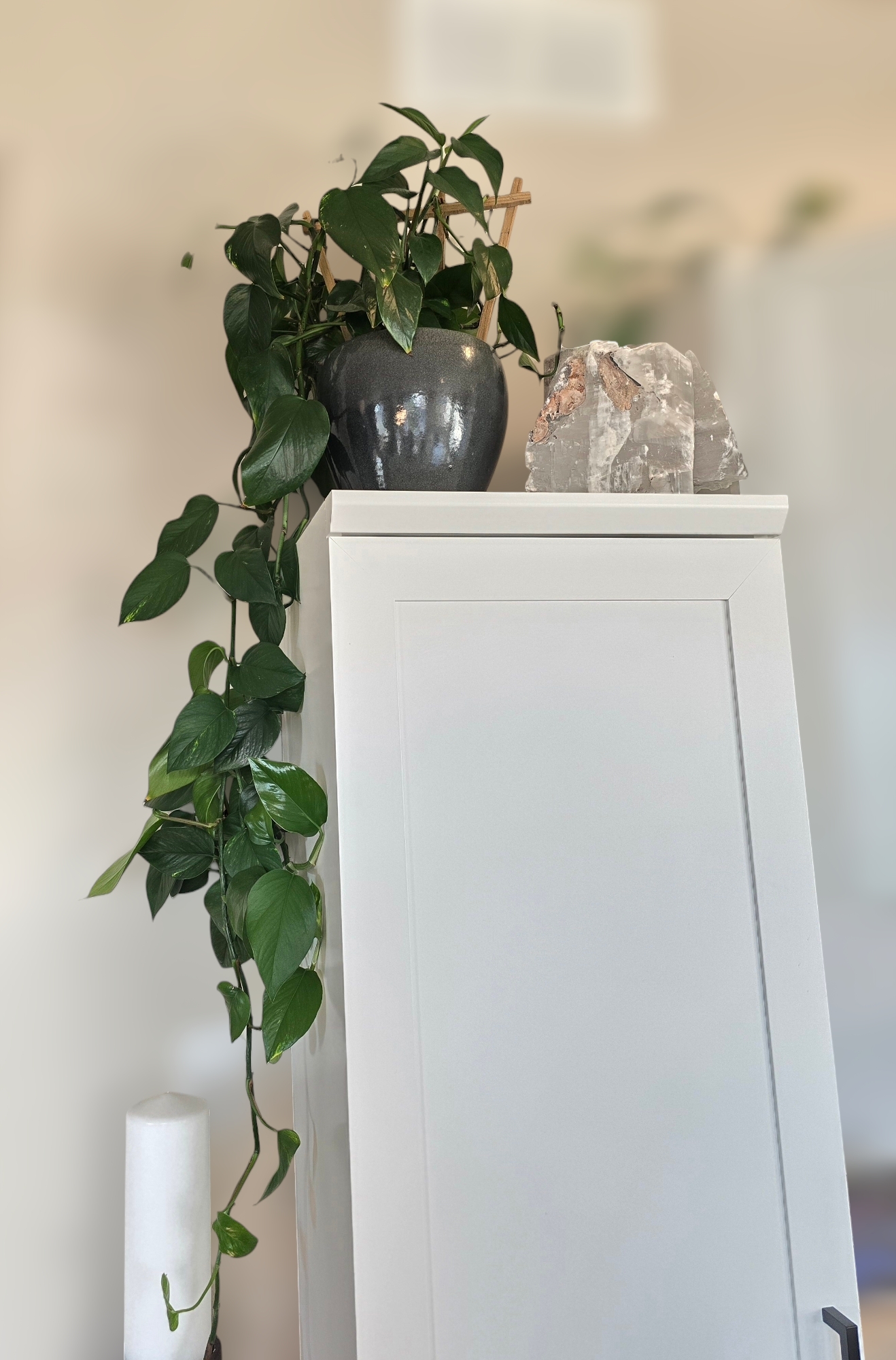 Stunning Live 60" Green Pathos Plant In A Glazed Pot 15659