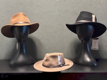 Scala Western Hat Collection Featuring Three Classic Felt Cowboy Styles With Feather Accents - Lot 2 Of 2