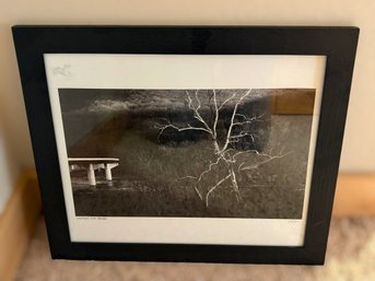 Framed Black-and-white Photograph 'Old Tree, New Bridge' By Photographer Cole Thompson (17.5' X 16')