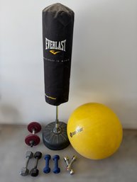 Home Gym, Fitness Equipment, Lock Featuring Everlast Freestanding Punching Bag, Exercise Ball & Dumbbells