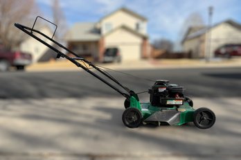 Briggs And Stratton 450 Series Weed Eater Lawn Mower